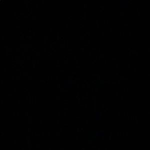 Meet your Posher, Jaime